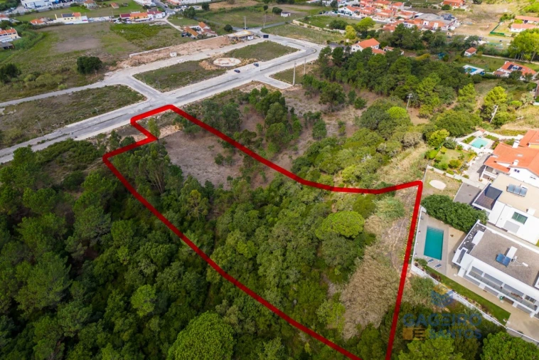 Terreno para Venda em Tornada e Salir do Porto Foto 3