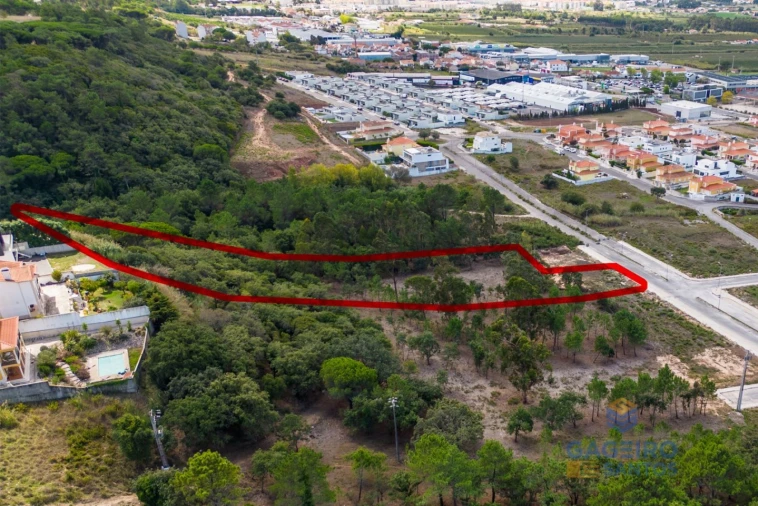 Terreno para Venda em Tornada e Salir do Porto Foto 11