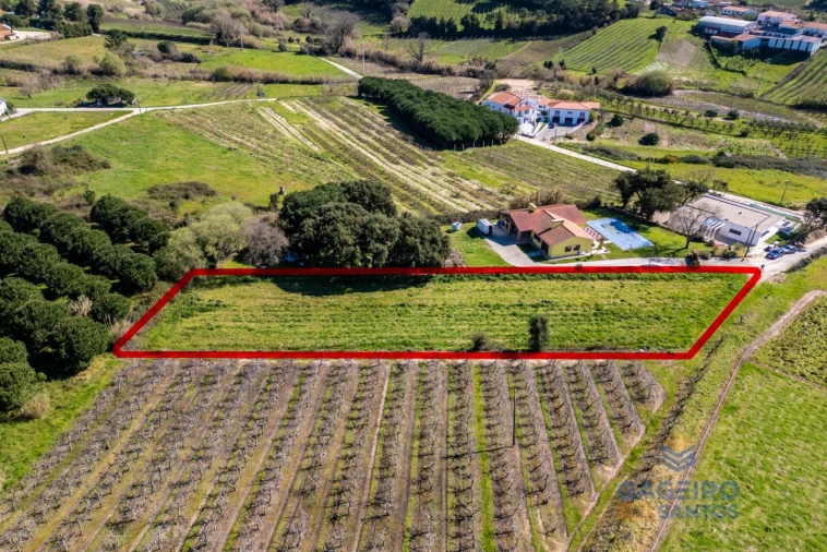 Terreno para Venda em Alfeizerão Foto 4