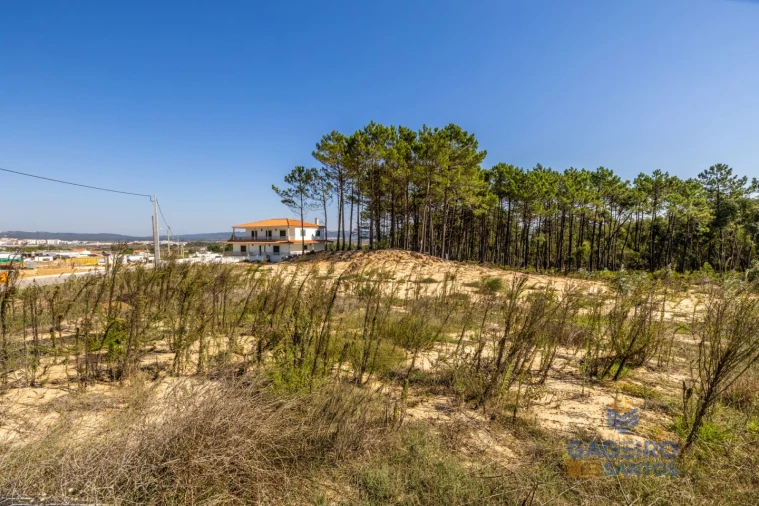 Terreno para Venda em Tornada e Salir do Porto Foto 14