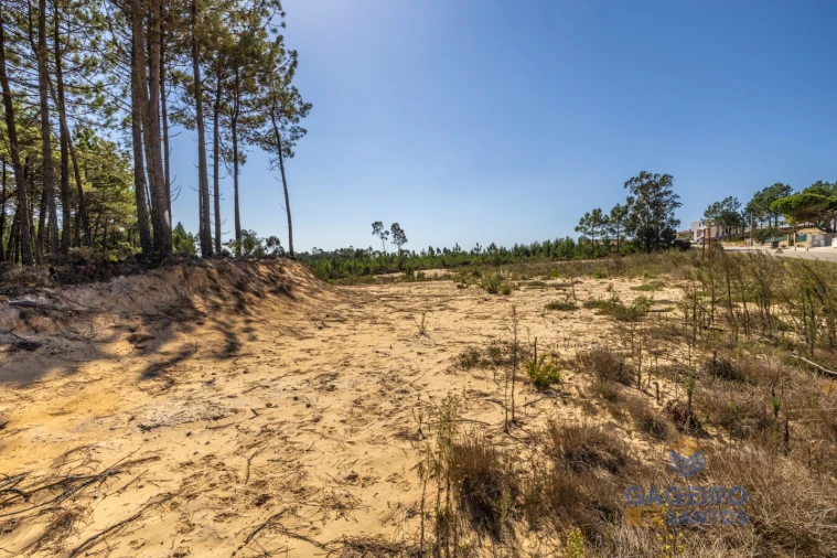 Terreno para Venda em Tornada e Salir do Porto Foto 15