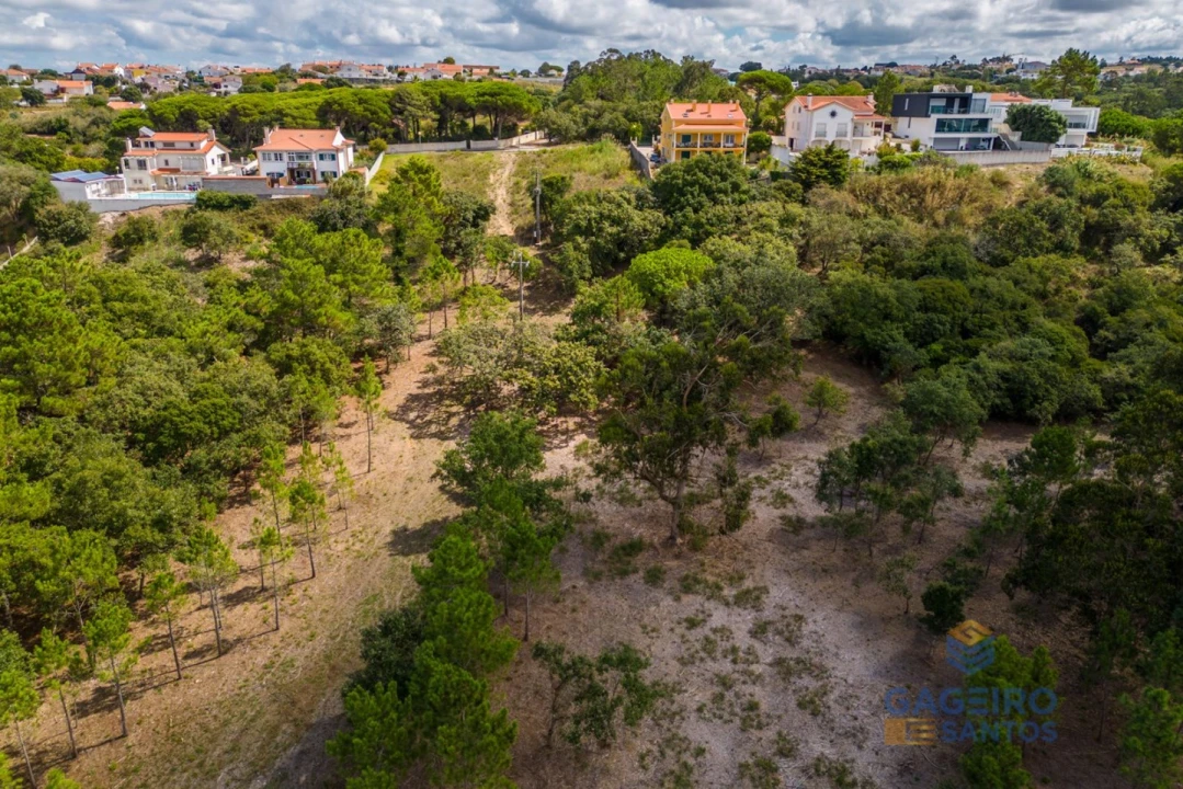 Terreno para Venda em Tornada e Salir do Porto Foto 25