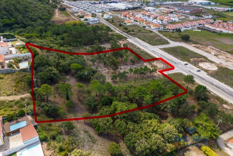 Terreno para Venda em Tornada e Salir do Porto Foto 2