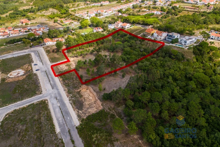 Terreno para Venda em Tornada e Salir do Porto Foto 1