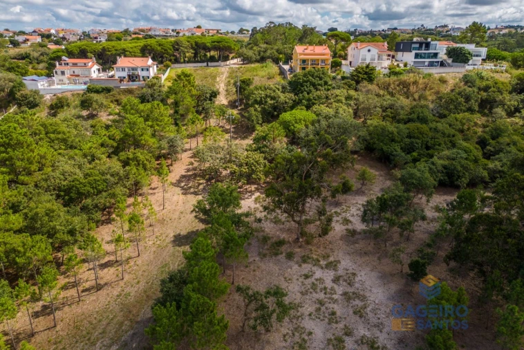 Terreno para Venda em Tornada e Salir do Porto Foto 25