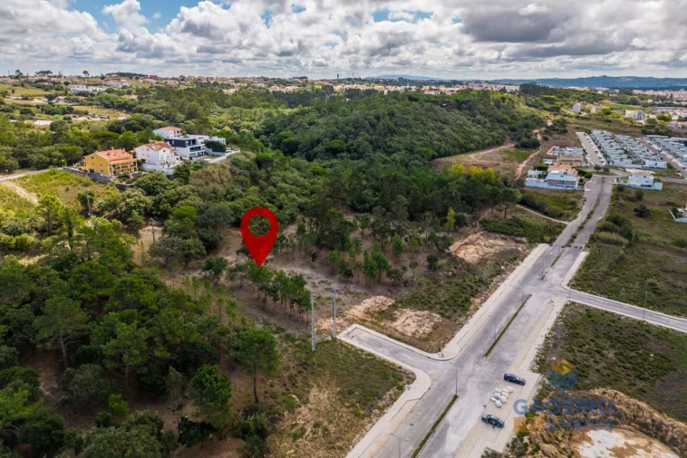 Terreno para Venda em Tornada e Salir do Porto Foto 6