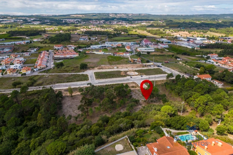 Terreno para Venda em Tornada e Salir do Porto Foto 4