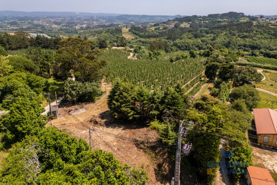 Terreno para Venda em Cela Foto 8