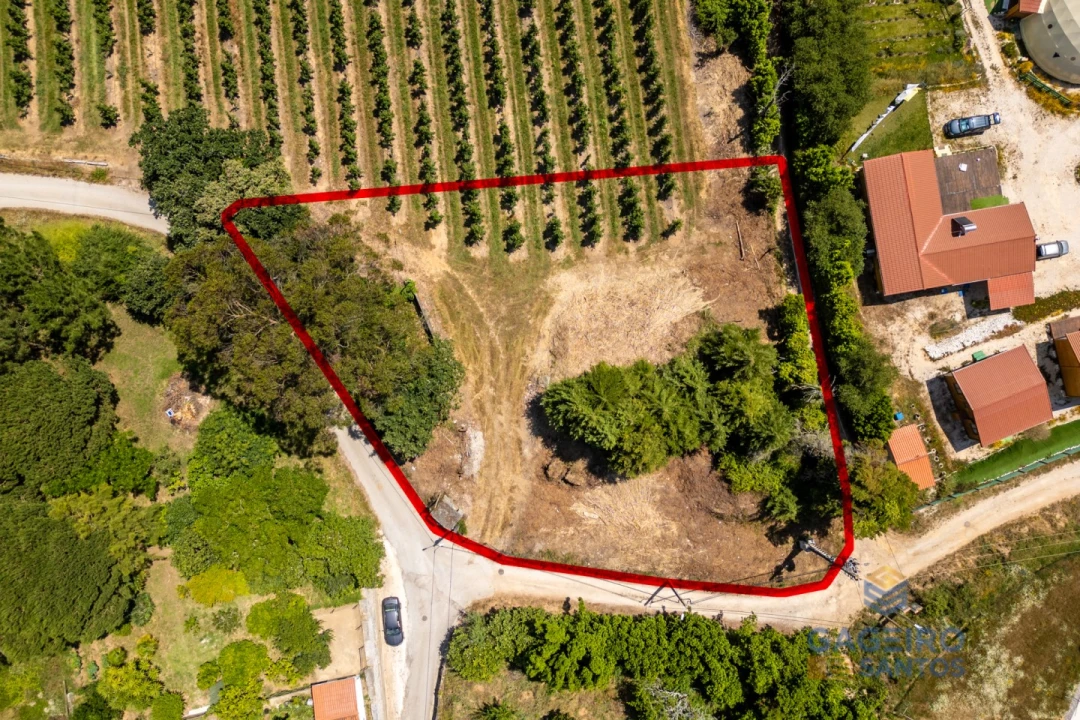 Terreno para Venda em Cela Foto 1