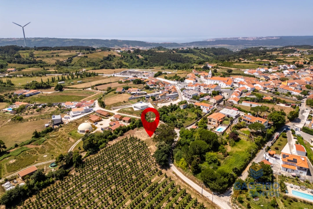 Terreno para Venda em Cela Foto 14