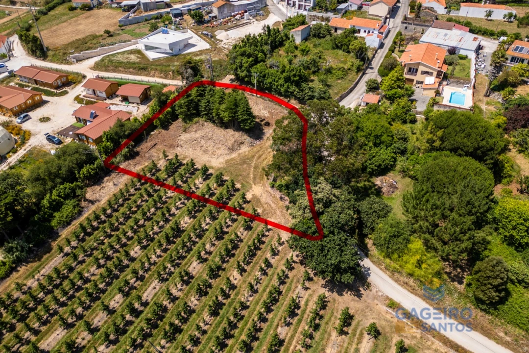 Terreno para Venda em Cela Foto 2