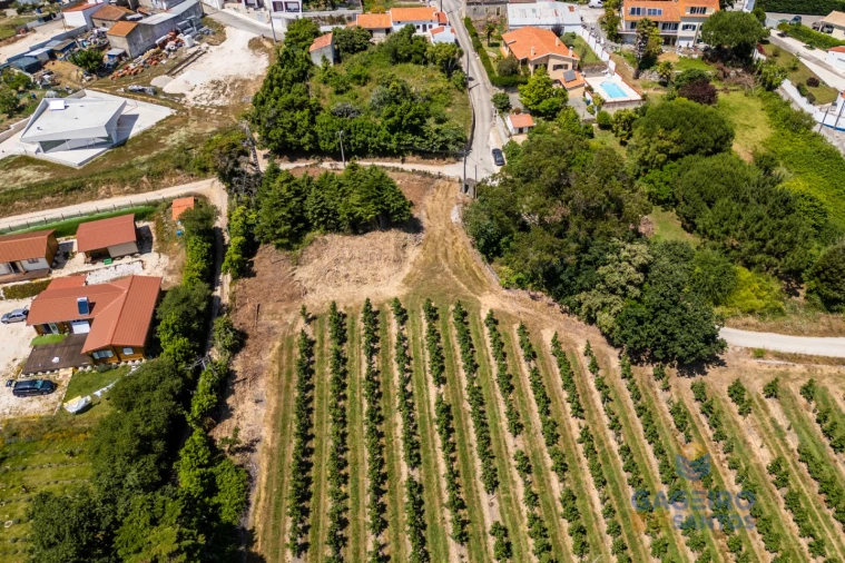 Terreno para Venda em Cela Foto 3