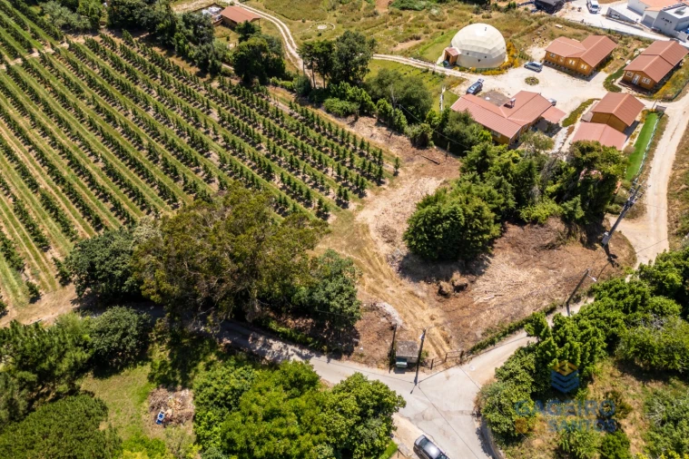 Terreno para Venda em Cela Foto 5