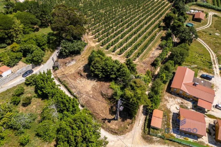 Terreno para Venda em Cela Foto 7