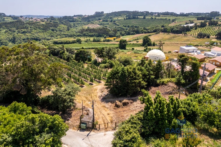 Terreno para Venda em Cela Foto 9