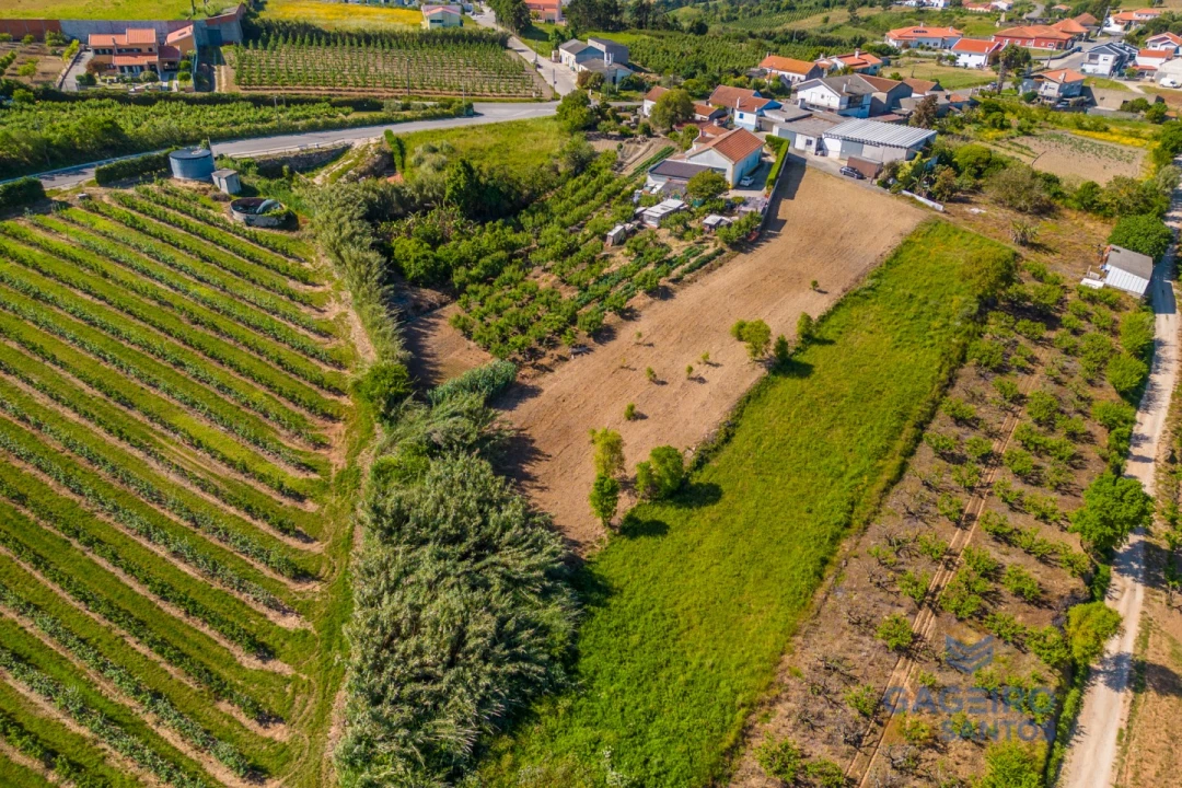 Terreno para Venda em Usseira Foto 8