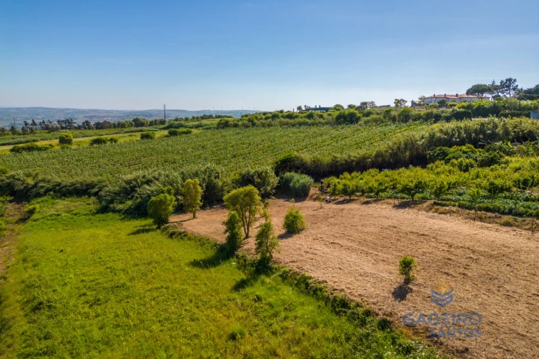 Terreno para Venda em Usseira Foto 4
