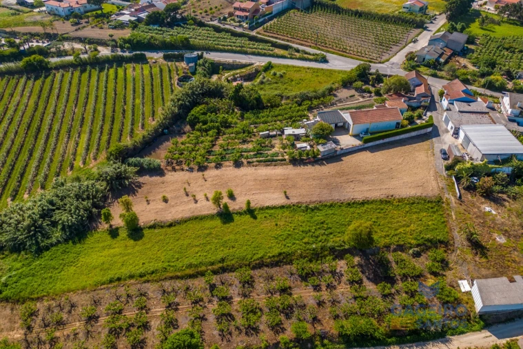 Terreno para Venda em Usseira Foto 6