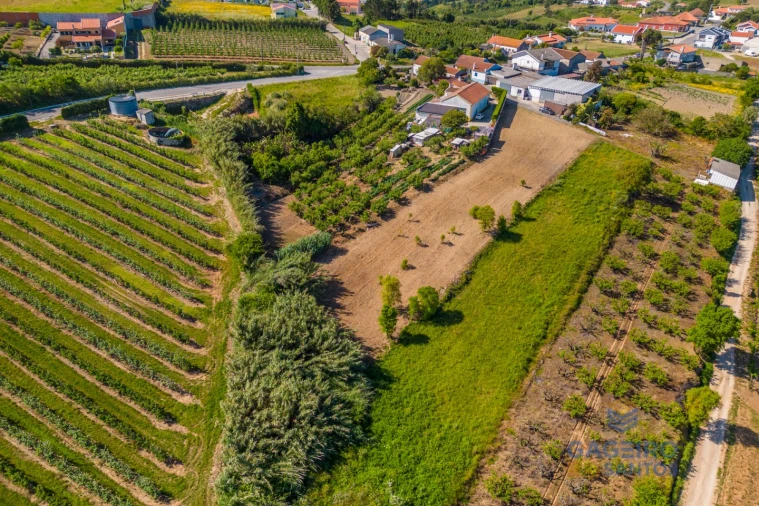 Terreno para Venda em Usseira Foto 8