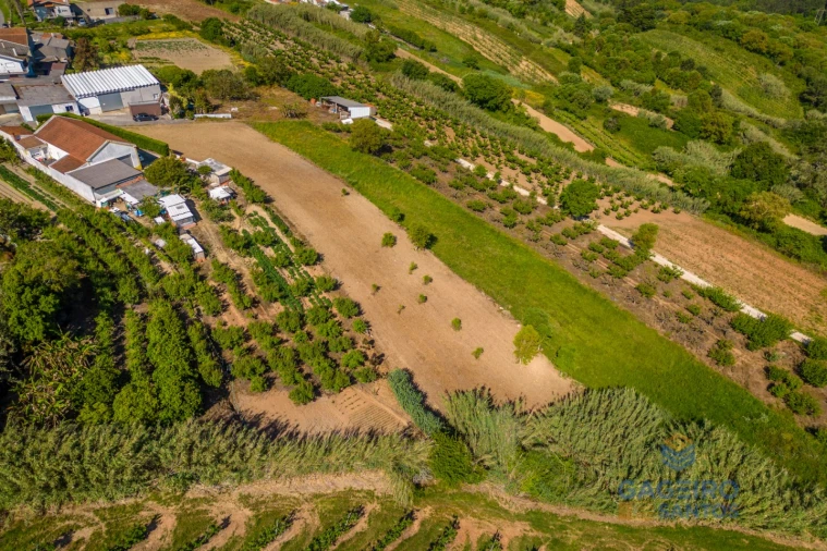 Terreno para Venda em Usseira Foto 9