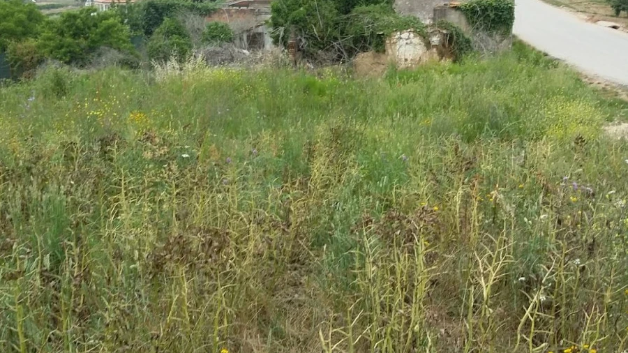 Terreno para Venda em A dos Francos
