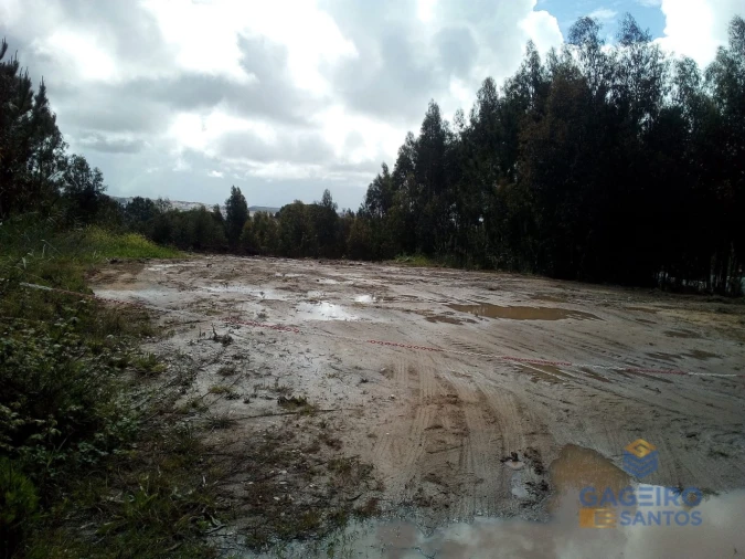 Terreno para Venda em Nadadouro Foto 4