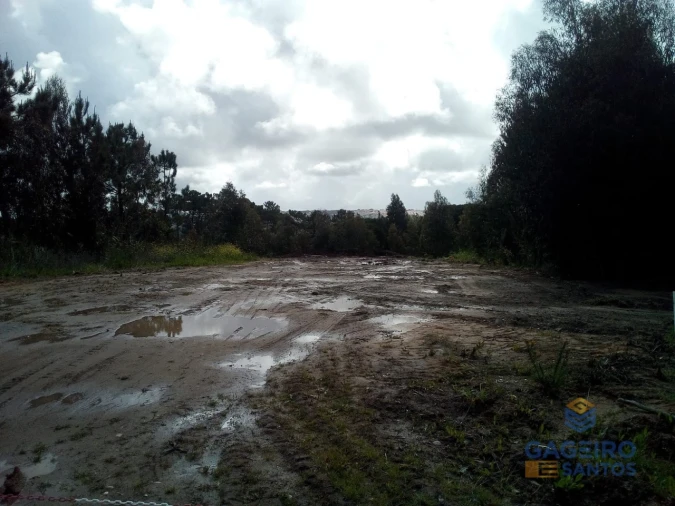 Terreno para Venda em Nadadouro Foto 5
