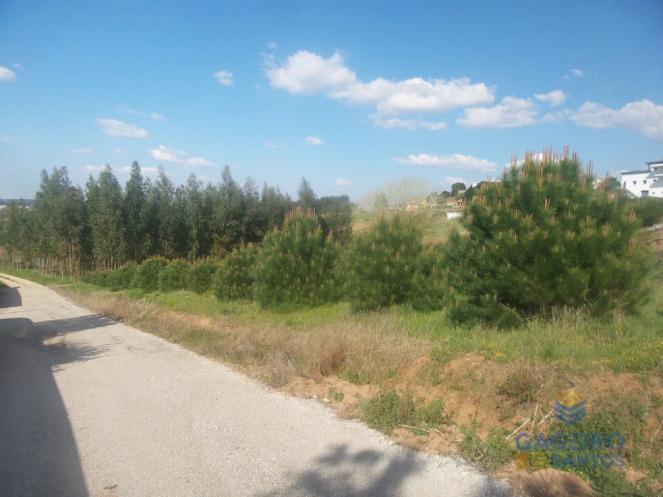 Terreno para Venda em Miragaia e Marteleira Foto 5