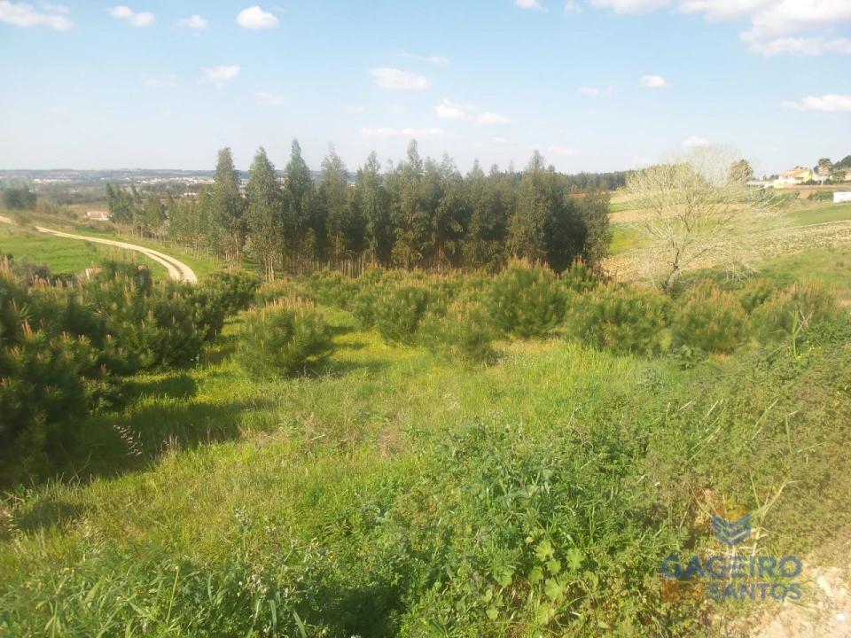 Terreno para Venda em Miragaia e Marteleira Foto 6