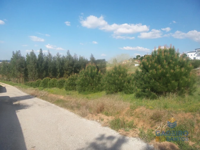 Terreno para Venda em Miragaia e Marteleira Foto 5