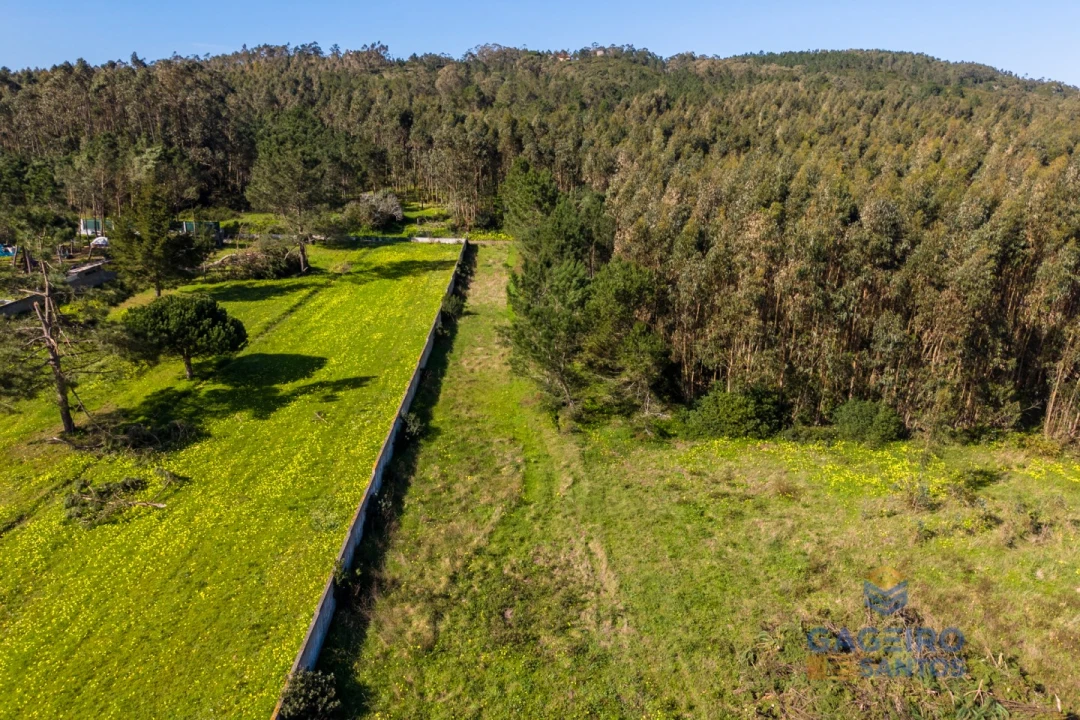 Terreno para Venda em Famalicão Foto 5