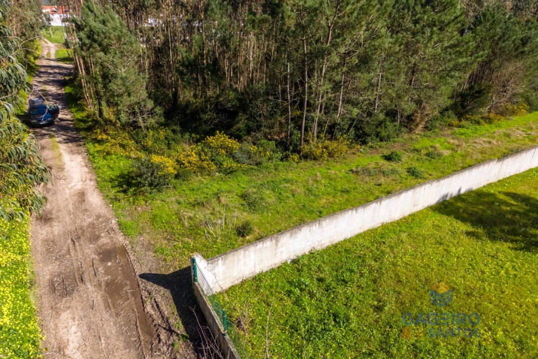 Terreno para Venda em Famalicão Foto 8