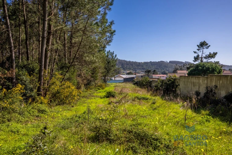 Terreno para Venda em Famalicão Foto 2