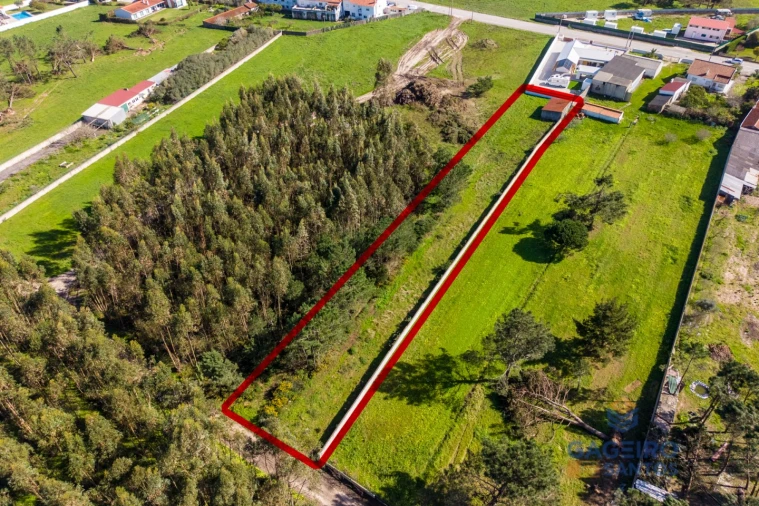 Terreno para Venda em Famalicão Foto 3