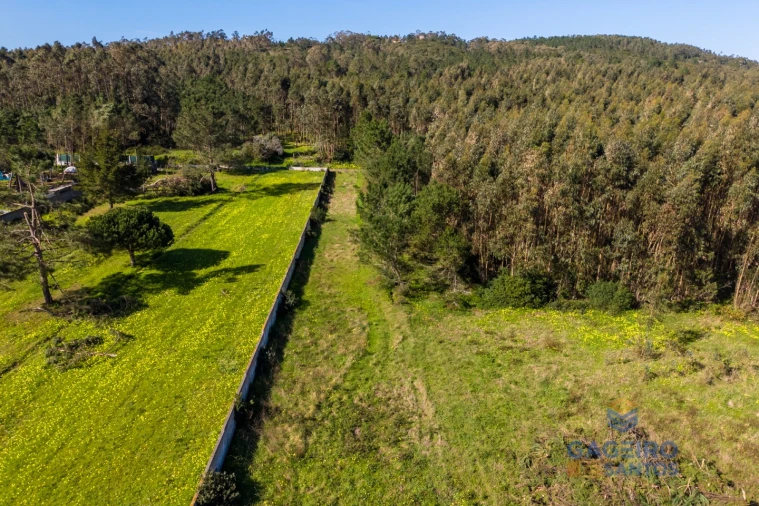 Terreno para Venda em Famalicão Foto 5