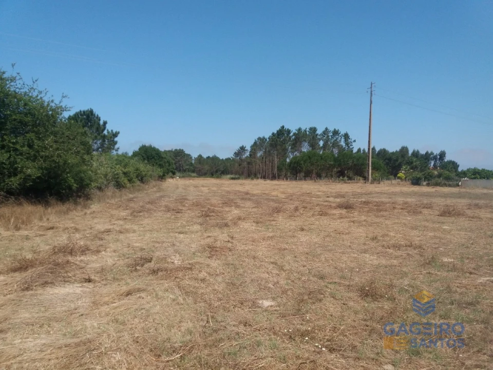 Terreno para Venda em Tornada e Salir do Porto Foto 2
