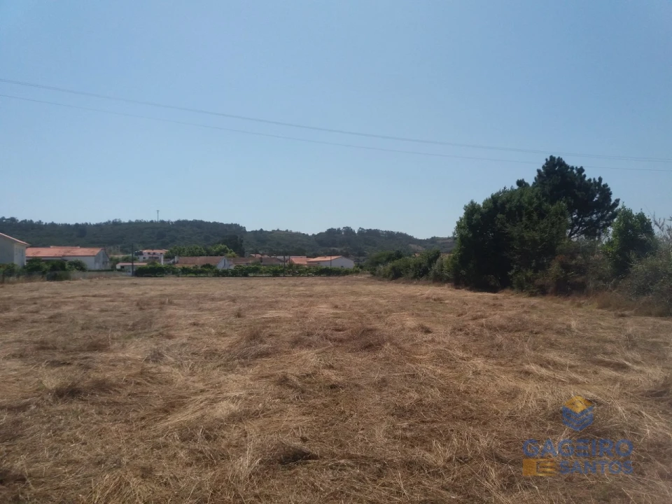 Terreno para Venda em Tornada e Salir do Porto Foto 3