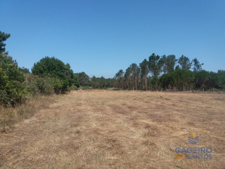Terreno para Venda em Tornada e Salir do Porto Foto 4