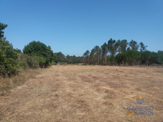 Terreno para Venda em Tornada e Salir do Porto Foto 4