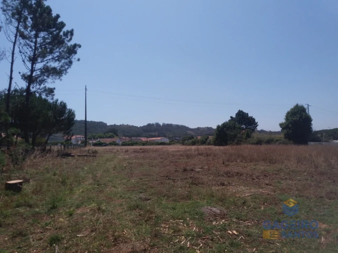 Terreno para Venda em Tornada e Salir do Porto Foto 6