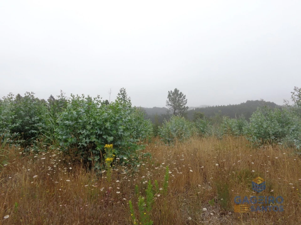 Terreno para Venda em Nossa Senhora do Pópulo, Coto e São Gregório Foto 6