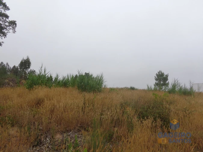 Terreno para Venda em Nossa Senhora do Pópulo, Coto e São Gregório Foto 5