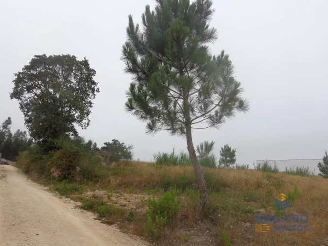 Terreno para Venda em Nossa Senhora do Pópulo, Coto e São Gregório Foto 7