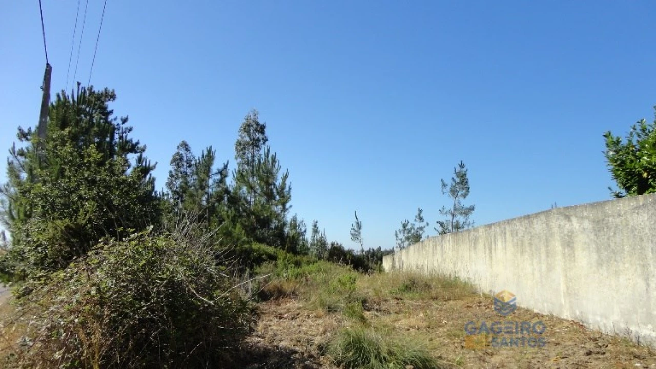Terreno para Venda em Vidais Foto 4
