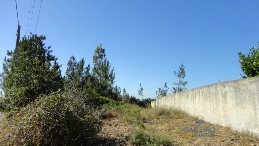 Terreno para Venda em Vidais Foto 4