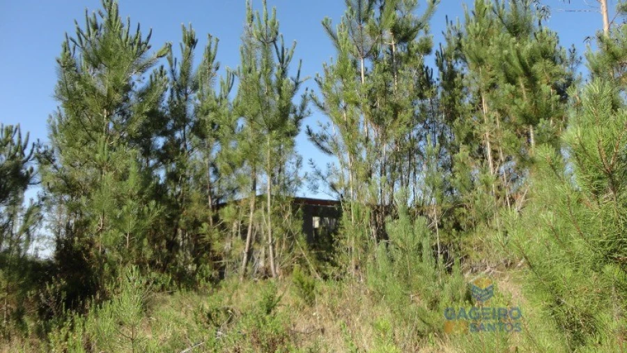 Terreno para Venda em Vidais Foto 5