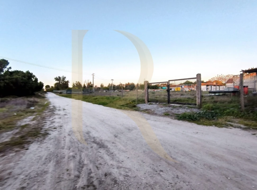 Terreno para Venda em Pegões Foto 4