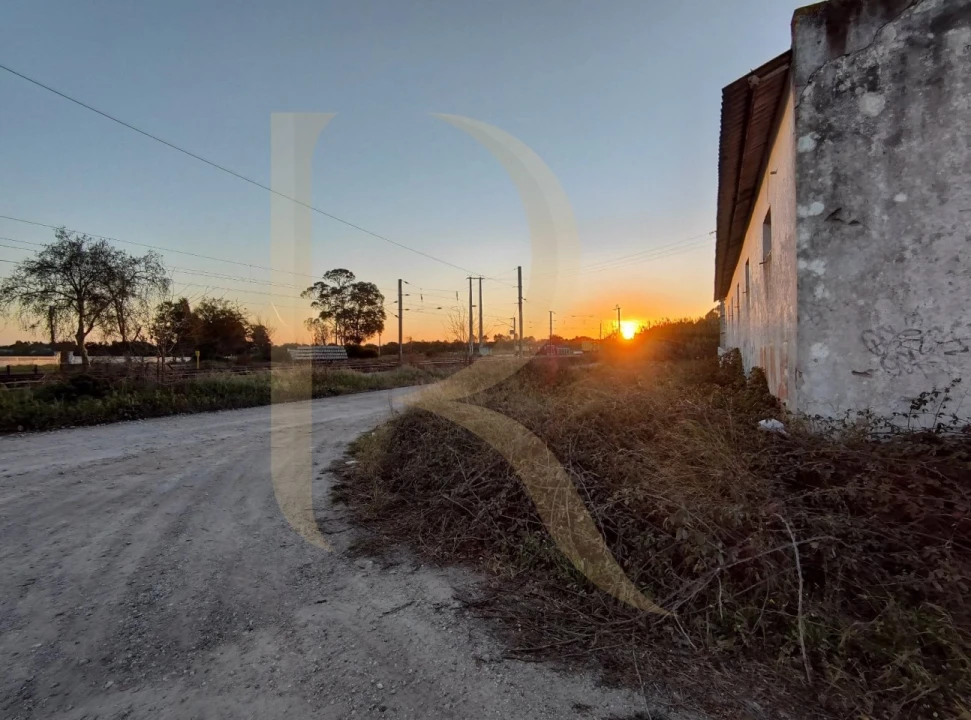 Terreno para Venda em Pegões Foto 6