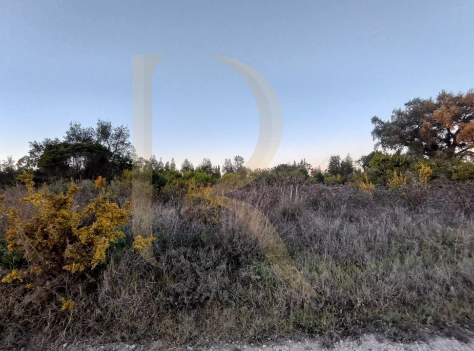 Terreno para Venda em Pegões Foto 9