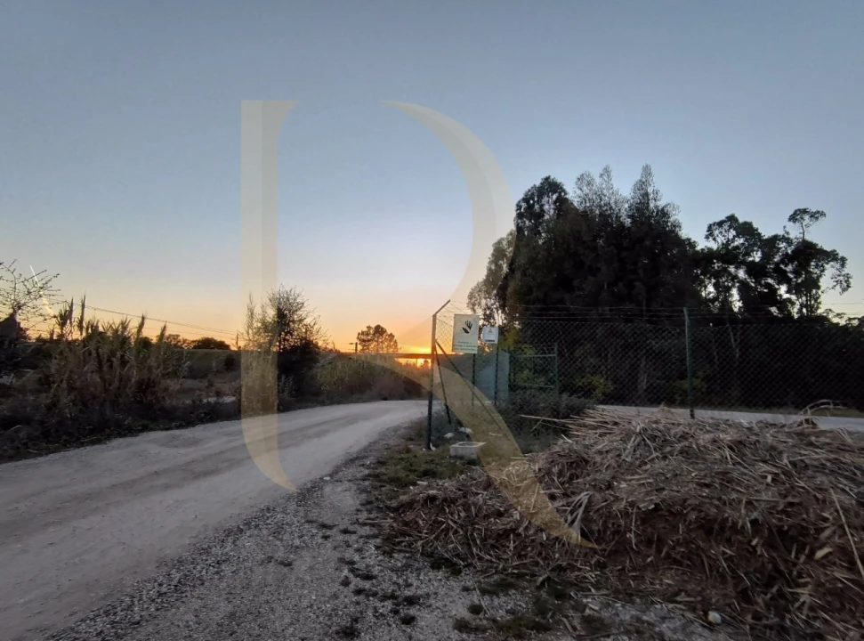 Terreno para Venda em Pegões Foto 11